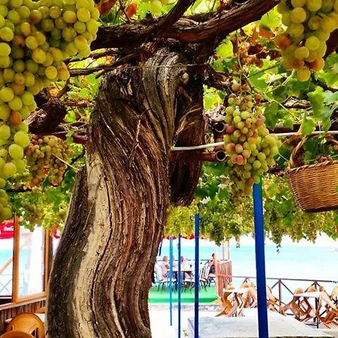 Vouni King ホテル 3*