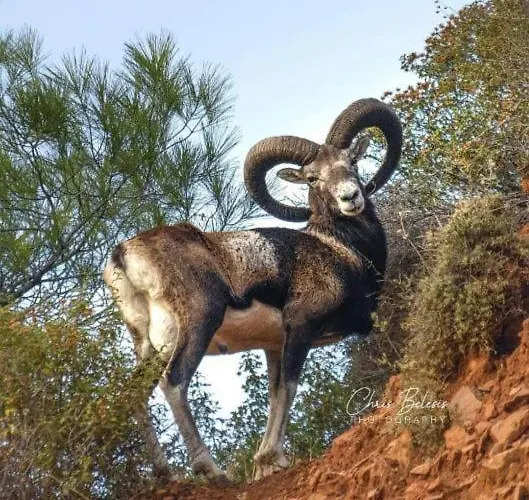 ホテル Vouni King 3*