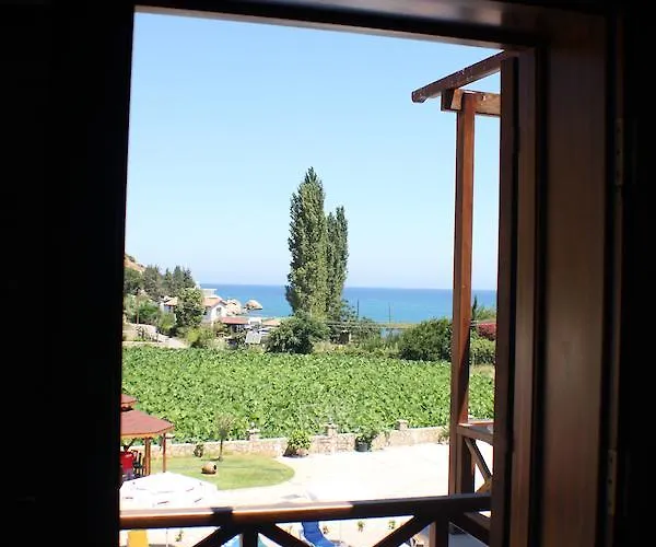 ホテル Vouni King